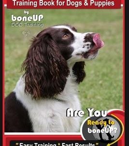 English Springer Spaniel Training Book for Dogs & Puppies By BoneUP DOG Training: Are You Ready to Bone Up? Easy Training * Fast Results, English Spri