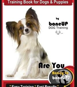 Papillon, Papillon Dog Training Book for Dogs & Puppies by Bone Up Dog Training: Are You Ready to Bone Up? Easy Training * Fast Results Papillon Book