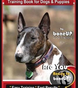 Bull Terrier Training Book for Dogs and Puppies by Bone Up Dog Training: Are You Ready to Bone Up? Easy Training * Fast Results Bull Terrier Book