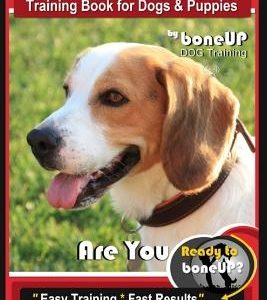 Beagle Book, Beagle Training Book for Dogs & Puppies by Boneup Dog Training: Are You Ready to Bone Up? Easy Training * Fast Results Beagle Training Bo