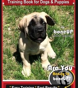 English Mastiff Training Book for Dogs & Puppies by Boneup Dog Training: Are You Ready to Bone Up? Easy Training * Fast Results, English Mastiff Book