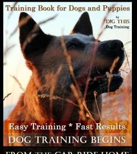 Red Heeler Training Book for Dogs & Puppies by D!g This Dog Training. Easy Training * Fast Results: Dog Training Begins from the Car Ride Home. Red He