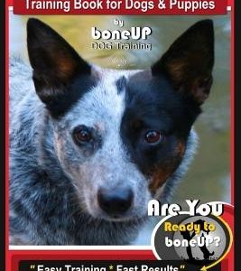 Queensland Heeler Training Book for Dogs & Puppies by Bone Up Dog Training.: Are You Ready to Bone Up? Easy Training * Fast Results Queensland Heeler