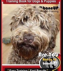 Labradoodle Puppy Training Book for Dogs and Puppies by Bone Up Dog Training: Are You Ready to Bone Up? Easy Training * Fast Results Labradoodle Puppy