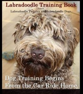 Labradoodles, Labradoodle Training Book for Both Labradoodle Dogs & Labradoodle Puppies By D!G THIS Dog Training: Dog Training Begins From the Car Rid