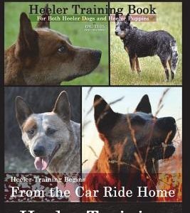 Heeler Dogs Heeler Training Book for Both Heeler Dogs and Heeler Puppies By D!D THIS Dog Training: Heeler Training Begins From the Car Ride Home Heele