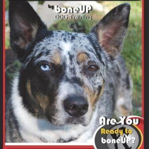 Cattle Dog Training Book for Cattle Dogs & Puppies By BoneUP DOG Training: Are You Ready to Bone Up? Easy Training * Fast Results Cattle Dog Training