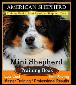 Miniature American Shepherd Training Book for Mini American Shepherd Dogs by D!g This Dog Training: Mini Shepherd Training Book, Low Cost Time Saving