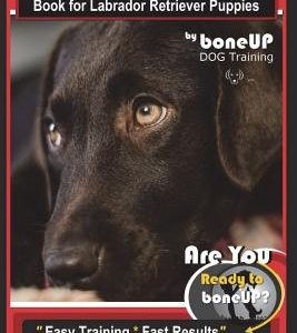 Labrador Puppy Training Book for Labrador Retriever Puppies by BoneUP DOG Training: Are You Ready to Bone Up? Easy Training * Fast Results Labrador Re
