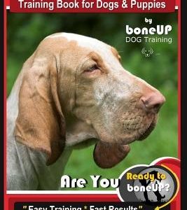 Bloodhound Training Book for Dogs & Puppies by Boneup Dog Training: Are You Ready to Bone Up? Easy Training * Fast Results Bloodhound Training