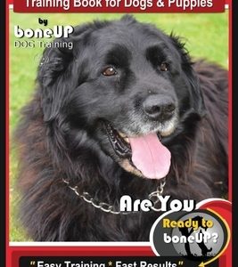 Newfoundland Training Book for Dogs & Puppies By BoneUP DOG Training: Are You Ready to Bone Up? Easy Steps * Fast Results Newfoundland Training