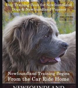 Newfoundlands Dog Training Book for Newfoundland Dogs & Newfoundland Puppies by D!G THIS DOG Training: Newfoundland Training Begins From the Car Ride