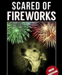 Help! My Dog is Scared of Fireworks