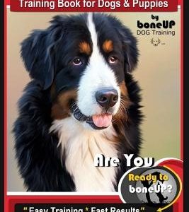 Bernese Mountain Dog Training Book for Dogs & Puppies by Boneup Dog Training: Are You Ready to Bone Up? Easy Training * Fast Results Bernese Mountain