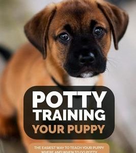Potty Training Your Puppy: The Easiest Way to Teach Your Puppy Where and When to Go Potty