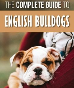 The Complete Guide to English Bulldogs: How to Find, Train, Feed, and Love your new Bulldog Puppy