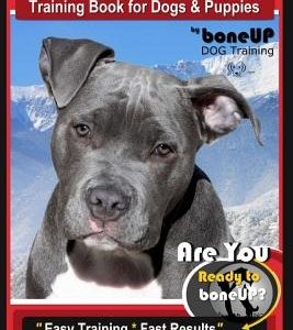 American Staffordshire Terrier Training Book for Dogs & Puppies by Boneup Dog Tr: Are You Ready to Bone Up? Easy Training * Fast Results American Staf