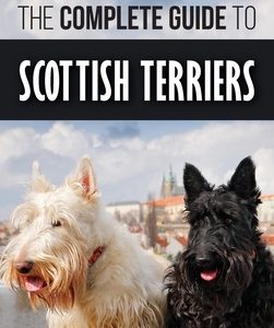The Complete Guide to Scottish Terriers: Finding, Training, Socializing, Feeding, Grooming, and Loving your new Scottie Dog