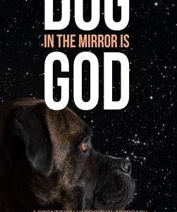 Dog in the Mirror is God: A scientifically spiritual approach to treating human and animal behaviour problems