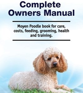 Moyen Poodle Complete Owners Manual. Moyen Poodle book for care, costs, feeding, grooming, health and training.
