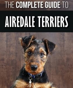 The Complete Guide to Airedale Terriers: Choosing, Training, Feeding, and Loving your new Airedale Terrier Puppy