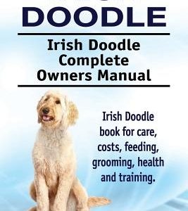 Irish Doodle. Irish Doodle Complete Owners Manual. Irish Doodle book for care, costs, feeding, grooming, health and training.