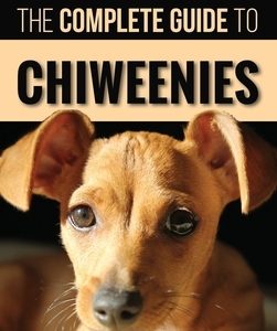 The Complete Guide to Chiweenies: Finding, Training, Caring for and Loving your Chihuahua Dachshund Mix