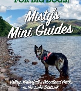 Misty's Mini Guides: Lakeland walks for BIG dogs!