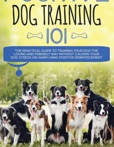 Positive Dog Training 101: The Practical Guide to Training Your Dog the Loving and Friendly Way Without Causing your Dog Stress or Harm Using Pos