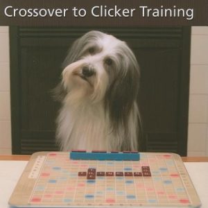 The Thinking Dog: Crossover to Clicker Training