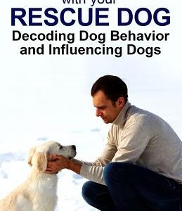 Bonding with Your Rescue Dog: Decoding Dog Behavior and Influencing Dogs