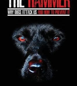 The Hammer: Why Dogs Attack Us and How to Prevent It