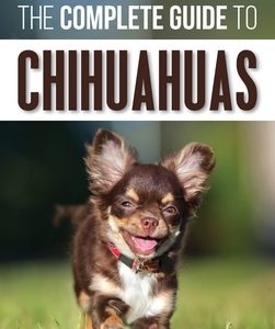 The Complete Guide to Chihuahuas: Finding, Raising, Training, Protecting, and Loving your new Chihuahua Puppy