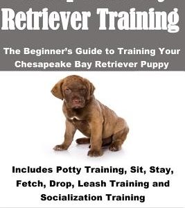Chesapeake Bay Retriever Training: The Beginner's Guide to Training Your Chesapeake Bay Retriever Puppy: Includes Potty Training, Sit, Stay, Fetch, Dr