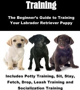 Labrador Retriever Training: The Beginner's Guide to Training Your Labrador Retriever Puppy: Includes Potty Training, Sit, Stay, Fetch, Drop, Leash