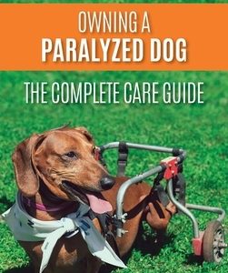 Owning a Paralyzed Dog - The Complete Care Guide: Helping Your Disabled Dog Live Their Life to the Fullest