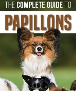 The Complete Guide to Papillons: Choosing, Feeding, Training, Exercising, and Loving your new Papillon Dog