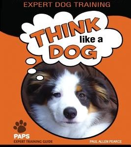 MINIATURE AMERICAN SHEPHERD Expert Dog Training: Think Like a Dog Here's Exactly How to Train Your Miniature American Shepherd