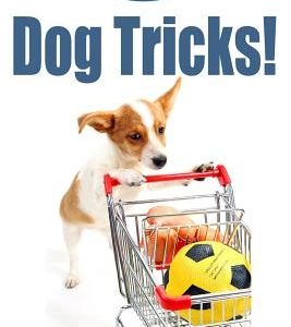Dog Tricks!: How to Train My Dog with New Tricks