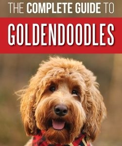 The Complete Guide to Goldendoodles: How to Find, Train, Feed, Groom, and Love Your New Goldendoodle Puppy