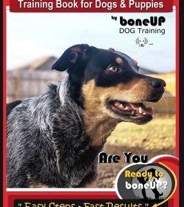 Blue Heeler Training Book for Dogs and Puppies, by Boneup Dog Training: Are You Ready to Bone Up? Easy Steps * Fast Results Blue Heeler Training