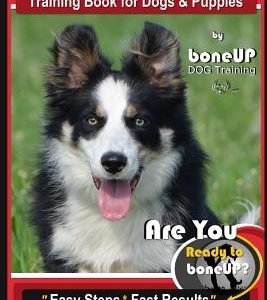 Border Collie Training Book for Dogs and Puppies by Boneup Dog Training: Are You Ready to Bone Up? Easy Steps * Fast Results Border Collie Training