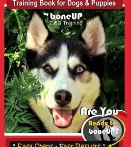 Siberian Husky Training Book for Dogs & Puppies by Boneup Dog Training: Are You Ready to Bone Up? Easy Steps * Fast Results - Siberian Husky Training