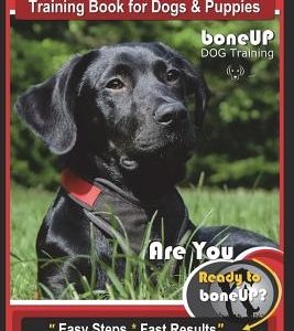 Black Labrador Retriever Training Book for Dogs & Puppies by Boneup Dog Training: Are You Ready to Bone Up? Easy Steps * Fast Results Black Labrador R
