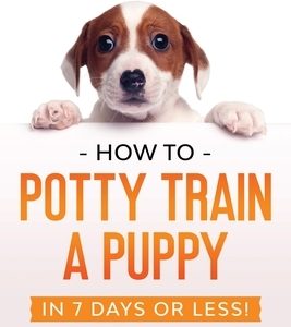 How to Potty Train a Puppy... in 7 Days or Less!: The Best Beginner's Guide to House Training Your Pup Quickly and Easily