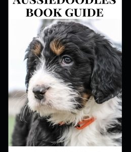 Aussiedoodle Book Guide: The Essential Guide To Training, Caring And Grooming, Also Feeding And Exercising Your Aussiedoodles