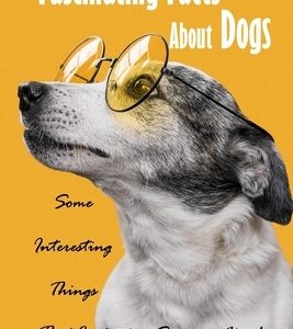 Fascinating Facts About Dogs: Some Interesting Things That Just May Surprise You!: All About Dog