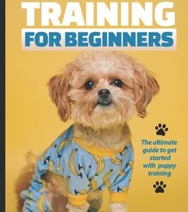 Puppy Training For Beginners: The Ultimate Guide to Get Started With Puppy Training