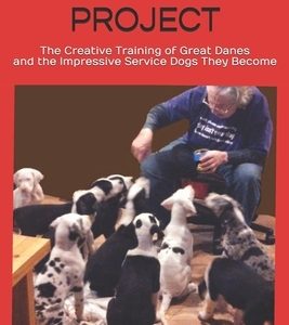Service Dog Project: The Creative Training of Great Danes and the Impressive Service Dogs They Become