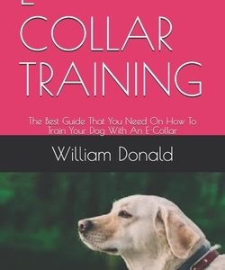 E-Collar Training: The Best Guide That You Need On How To Train Your Dog With An E-Collar